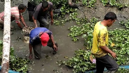 Bukti Kekuasaan ALLAH SWT - Penangkapan Ikan