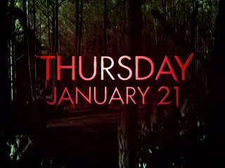 The Vampire Diaries - Promo Saison 2