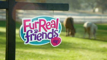 FurReal Friends Butterscotch, My Walkin Pony from Hasbro