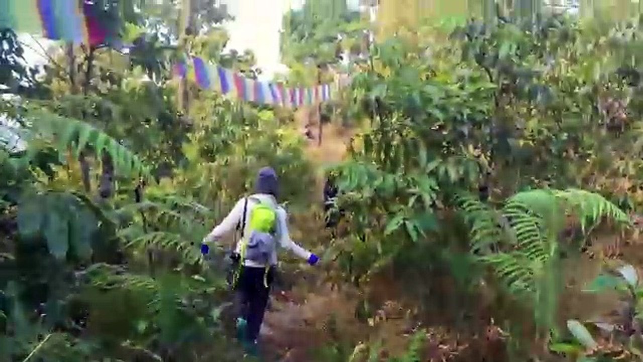 Nepal on Foot - Visit Aisia