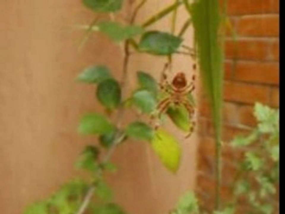 Caméra cachée SALE MAROC