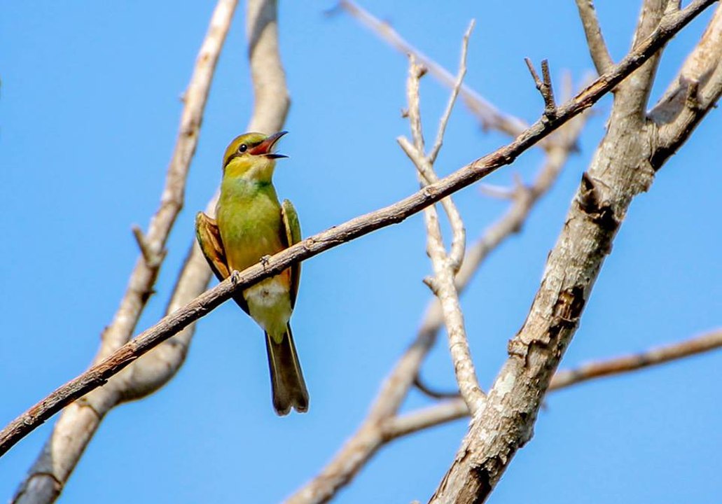 Review canon EOS 700D and tamron 70-300 di vc usd Sport car TCR International Series