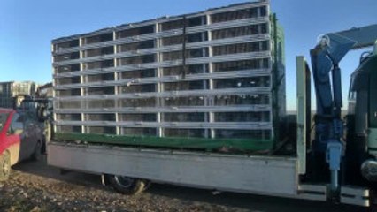 3'üncü Posta Güvercini Yarışması