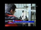 NET24 - Pusat perlindungan Panda di Cina tawarkan pekerjaan menjaga panda