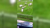 [Paranormal] Someone taunting a mysterious women in white in graveyard, the next second something strange happen....