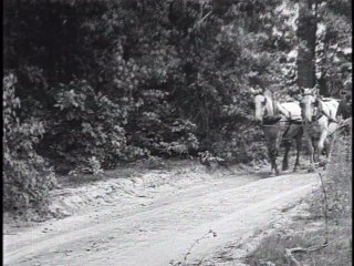 Hemp For Victory -1942 - US Department of Agriculture