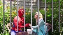 Spiderman vs MALEFICENT ! w/ Frozen Elsa, Pink Spidergirl, Joker, Anna, Batman, Hulk Episo