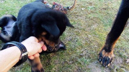 Les filles s'amusent sous les bruits d'orage