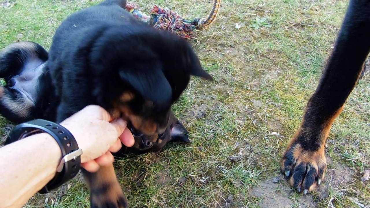 Les filles s'amusent sous les bruits d'orage