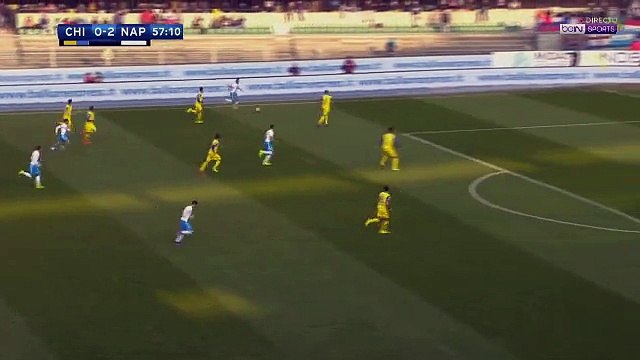 Piotr Zieliński Amazing Goal HD - Chievo 0-3 Napoli - Serie A - 19.02.2017 HD