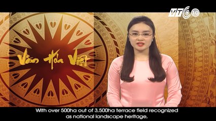 Adamsapa | Mù Cang Chải- Du lịch Homestay hấp dẫn du khách