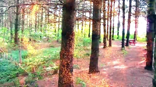 Frozen Elsa Turns into SUPER VILLAINS! w/ Spiderman Joker Pink Spidergirl Maleficent! Supe