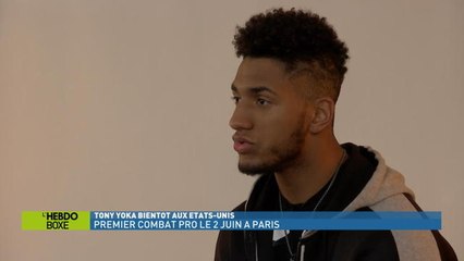 Boxe - Hebdo Boxe - Yoka en préparation