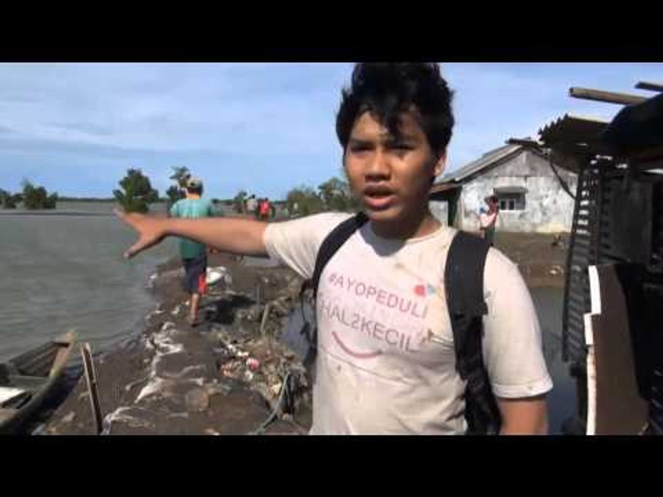 NET12 Penanaman Lebih dari 1000 Bibit Mangrove di Muara Gembong