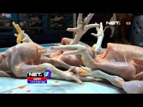 NET17 Kenaikan Harga Daging dan Telur Ayam Jelang Bulan Ramadhan
