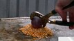 Glowing 1000 Degree Metal Ball Vs Egg, Jelly Balls And More