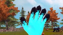 Animated 3D Gorilla Finger Family Rhymes For Children | Animal Finger Family Rhymes