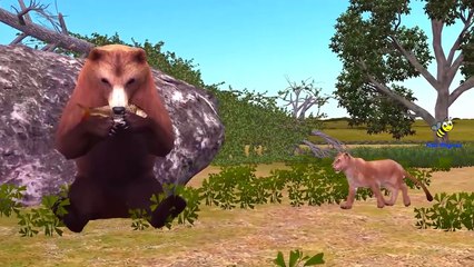 La GRAN BATALLA de Tigre vs Cocodrilo Pelea Real a la Muerte de León, el Lobo Jaguar de Leopardo, Oso de Tiburón