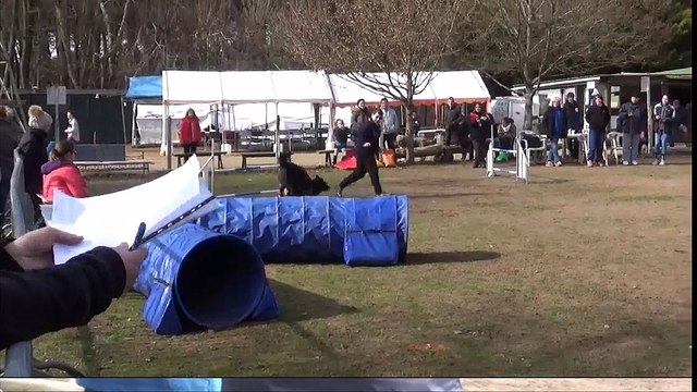 heaven agility CCPM 19 fevrier 2017