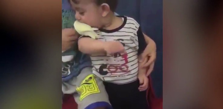 Ce petit garçon de 3ans essaye de manger un oiseau vivant !