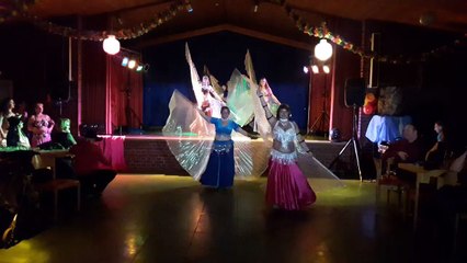 Fasching Ramersdorf 2017 Auftritt komprimiert