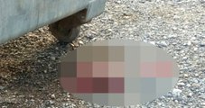 İzmir'de Vatandaşlar Çöp Konteyneri Yanında Erkek Cenin Buldu
