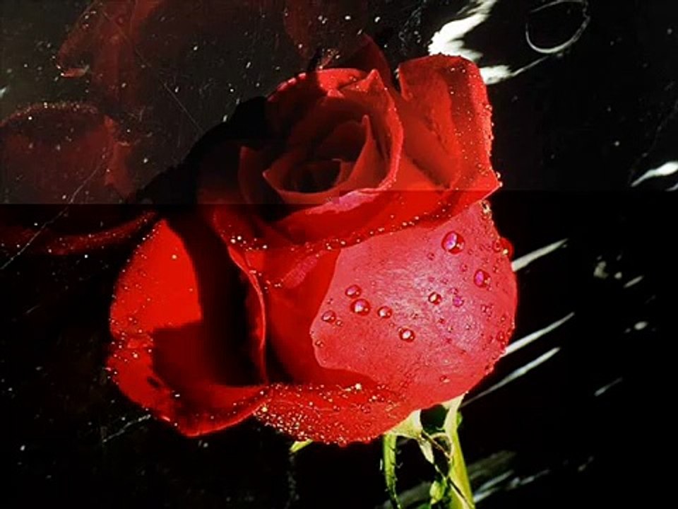 Neşecik - Yollar Seni