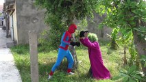 Spiderman Bebé Congelado Elsa ser atacado por Joker y catwomen rosas Spidergirl Divertido Superhe