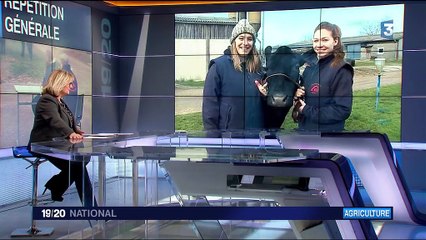 Salon de l'agriculture : la pression monte pour les jeunes éleveurs