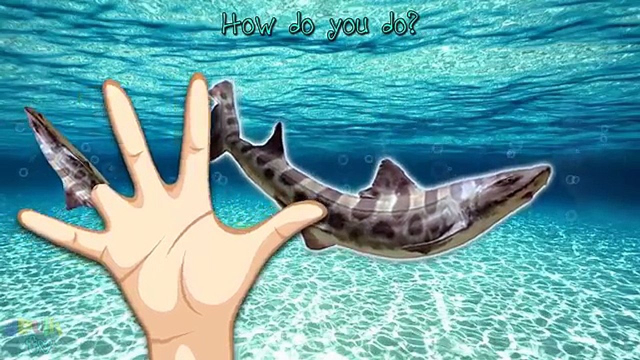 Shark Finger Family | Animated cartoons for children | Sea Nursery Rhymes Song