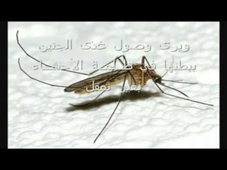 يا من يرى مد البعوض جناحها