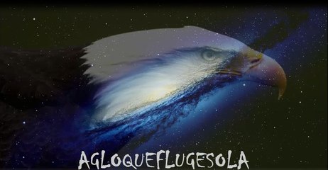 Apresentação do Canal Agloqueflugesola