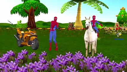 Spiderman Spider-Boy Funny Little Babies Hot Cross Buns Rhymes Compilation | SuperHeroes M