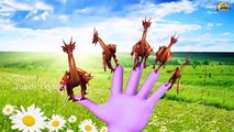 3D Horse Learn Colours Songs Collection | dragon Finger Family Rhymes cartoon rhymes for kids