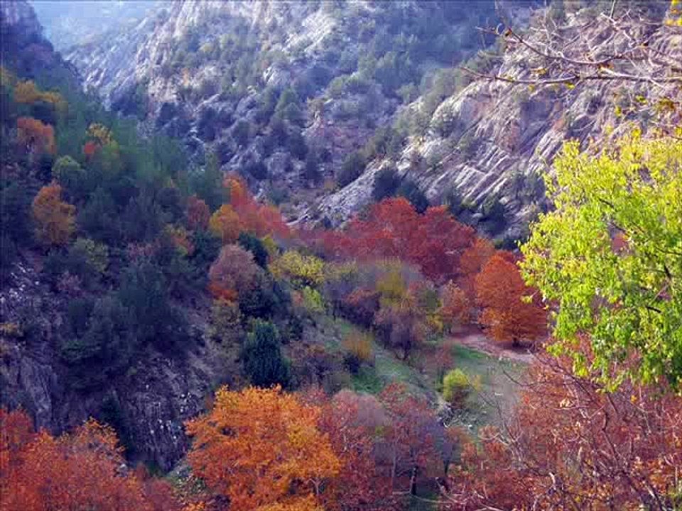 Muhsin Tozlu - Gel Fadimem Bir Muhabbet Edelim - 50