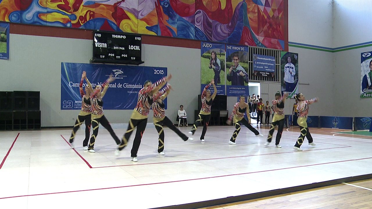 Aerodance, UNAM