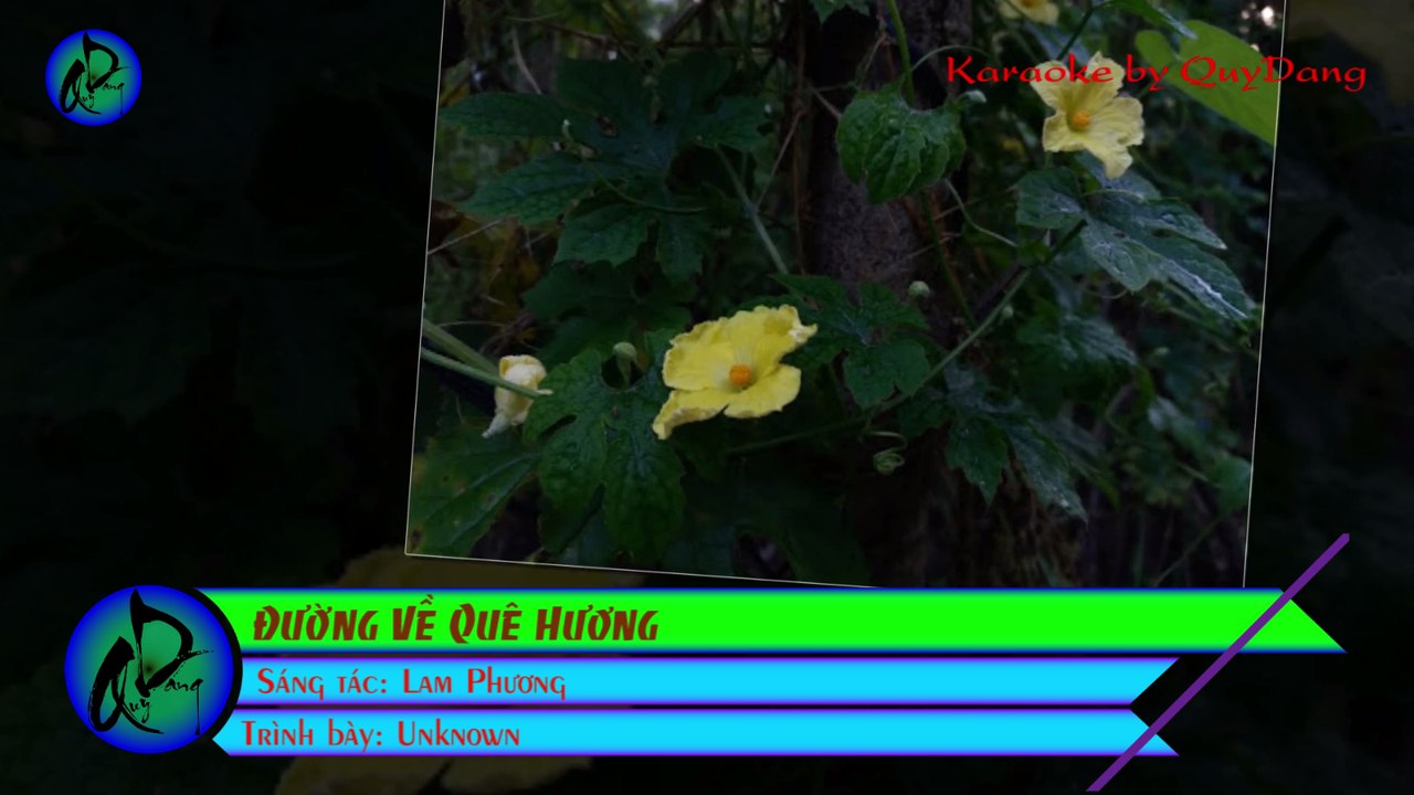 Đường Về Quê Hương | Karaoke Beat [phối] HD