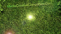 Media Creative Companies|Blog