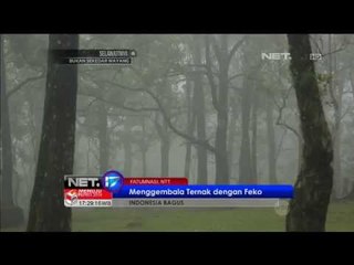 Promo Indonesia Bagus Fatumnasi - NET17