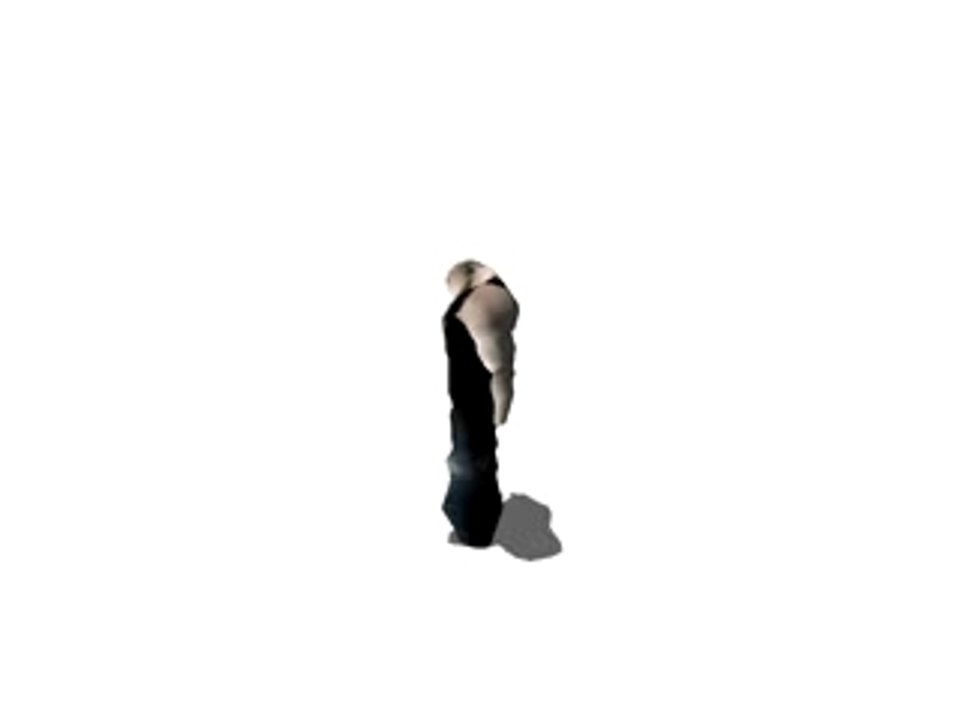 Lowman_loops
