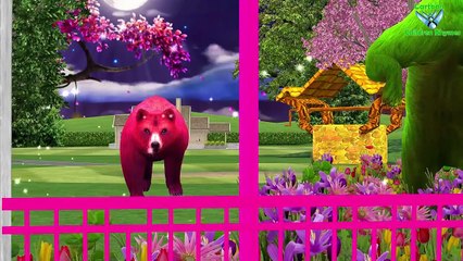 Horse Finger Family | Tiger Cub Singing Finger Family | Cats & Dogs Cartoons Rhymes for Ch
