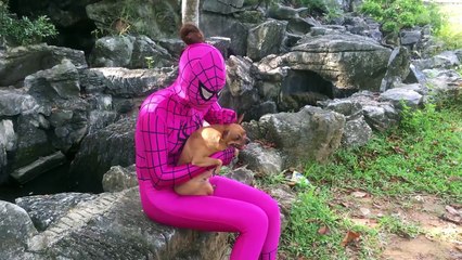 Spider-Man vs Pregnant Frozen Elsa vs Babies & Doctor Maleficent ! Fun Superheroes Movie I