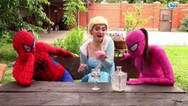 Frozen Elsa Gets RAINBOW HAIR SPELL! w/ Spiderman Maleficent Joker Pink Spidergirl! Superh