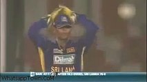 Ball hits the wicket keeper Helmet Funny Cricket Video