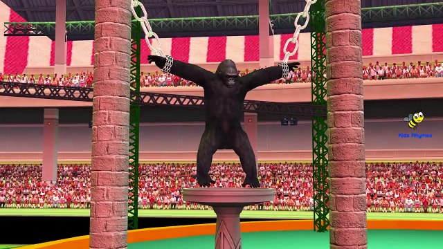 Loco Gorila Dedo de la familia | canciones infantiles para Niños | Familia Dedo Canciones