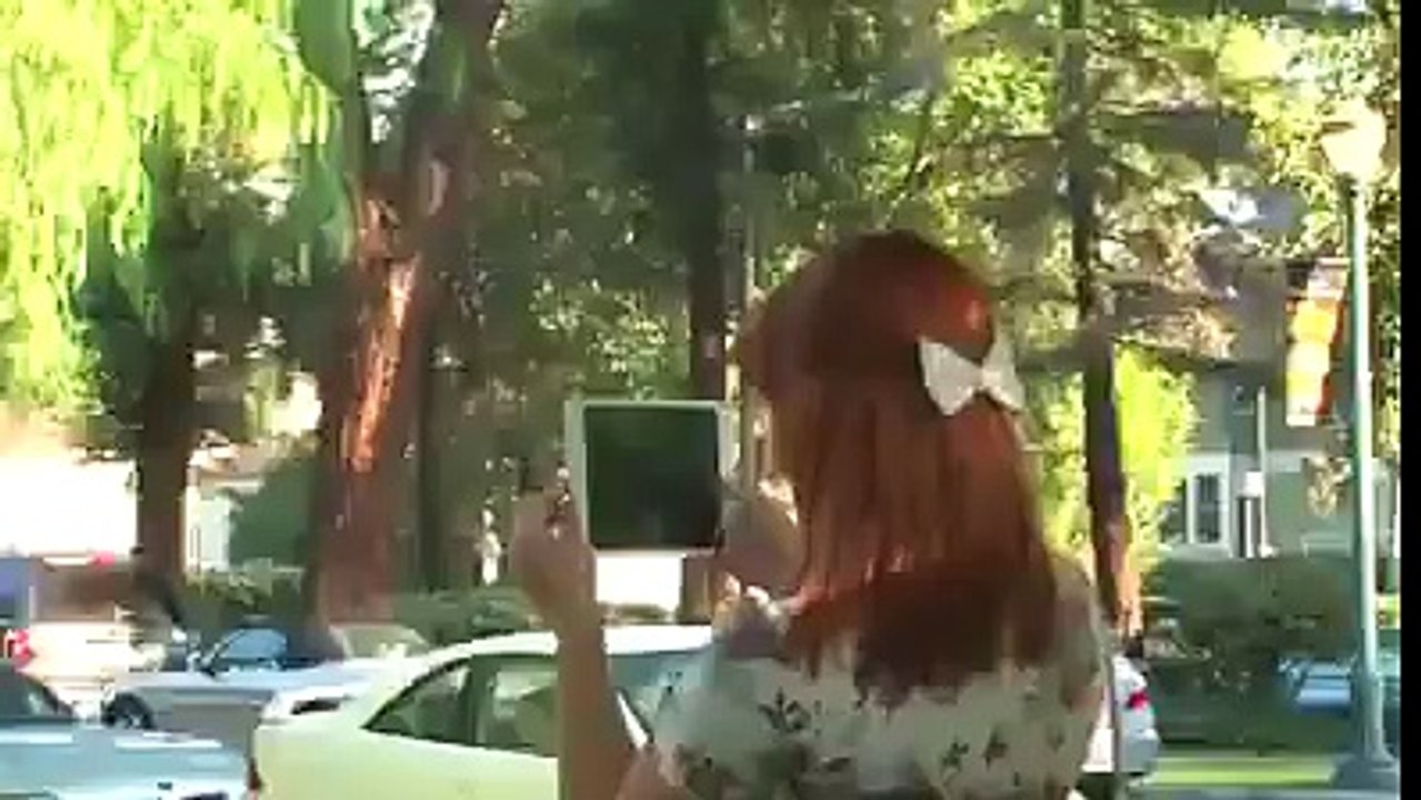  where can you buy this?