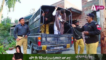 Piya Be Dardi - Mon-Thu at 9:10pm on APlus