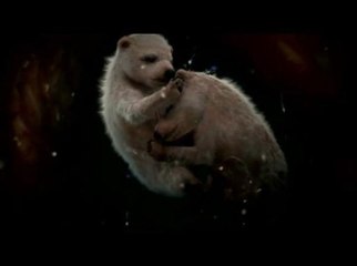 10 Incredible Photos of Animals In The Womb