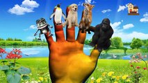 Gorilla Vs bear Finger Family 3d Nursery rhymes | Funny 3d Animals