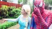 Spiderman vs Joker vs Frozen Elsa - Spiderman Goes in Jail - Fun Superhero Movie in Real L